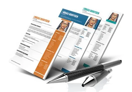 CV Writing